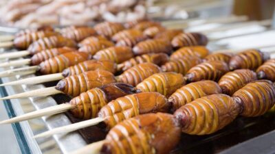 dieta insetti disgusto fallimento