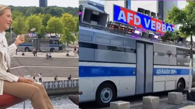 alice weidel intervista manifestanti