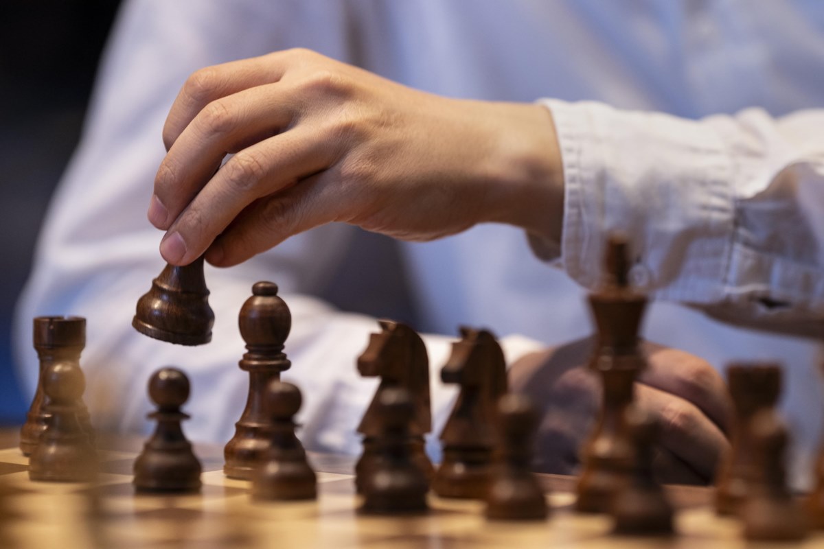 scacchi bologna shashguru torneo