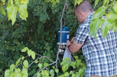 zanzare esca west nile